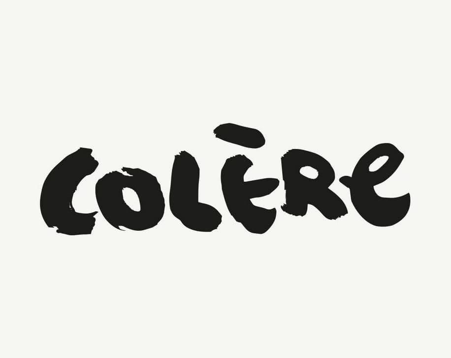 Colère - Paris (Paris)