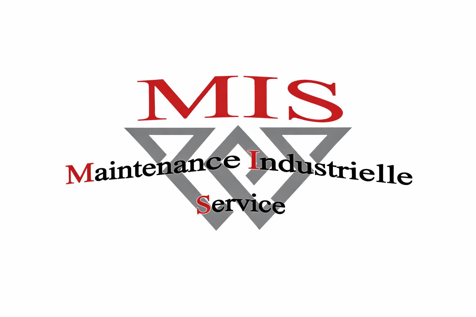 Maintenant Industrielle Service - Saint-Pierre (Martinique)