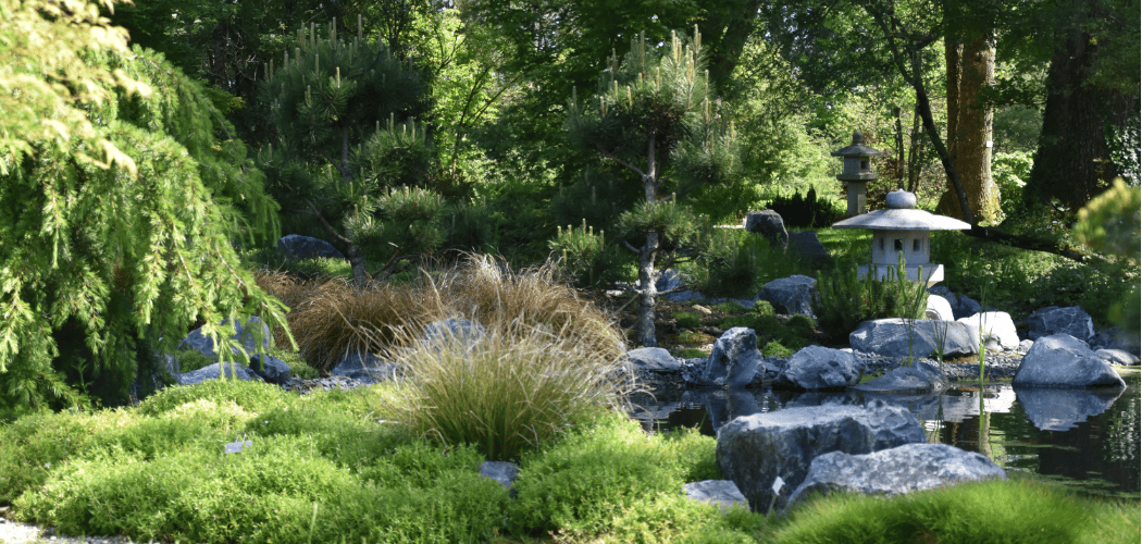 Les Jardins Japonais de Favières - FAVIÈRES (Seine-et-Marne)