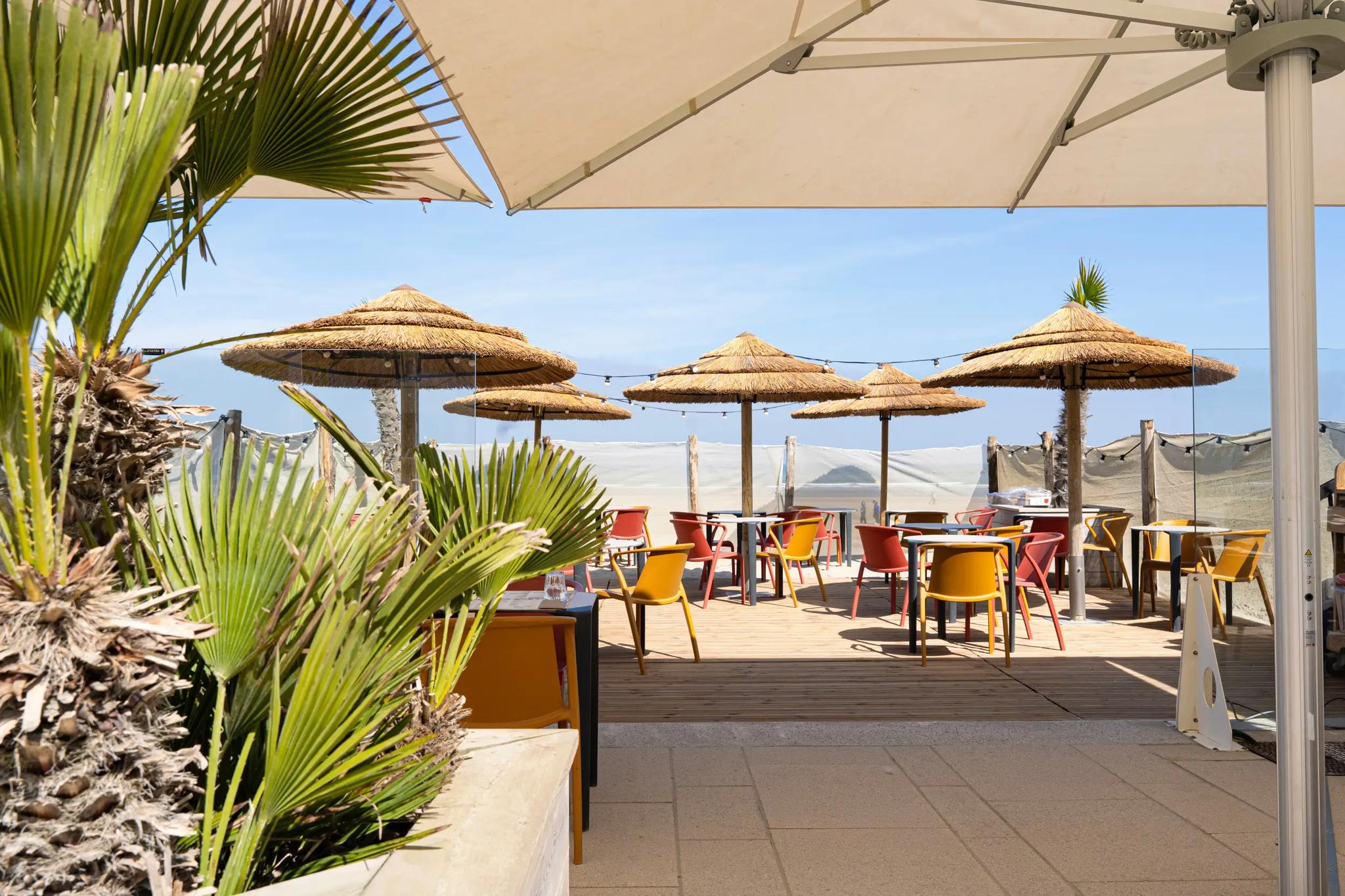 Bistro Pulpo - Dunkerque (Nord)