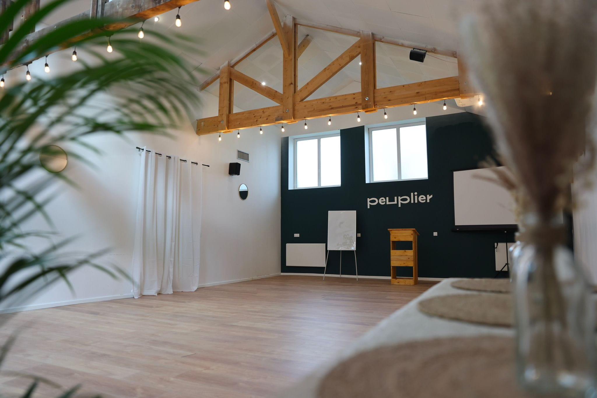 Peuplier - Limoges (Haute-Vienne)