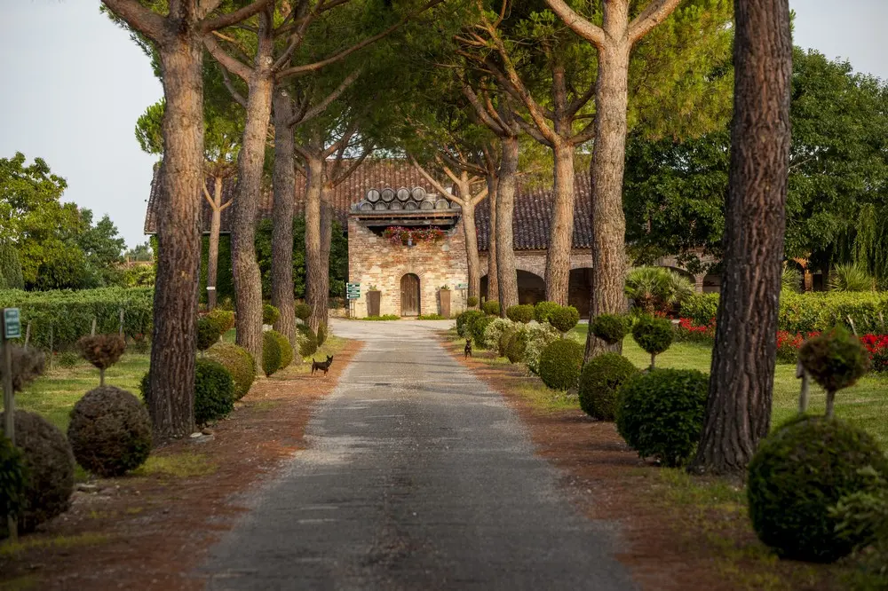 Château Saint Louis - Labastide Saint-Pierre (Tarn-et-Garonne)