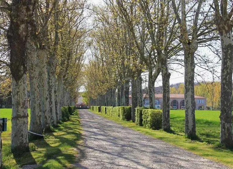 Domaine de Balestat - Aucamville (Tarn-et-Garonne)