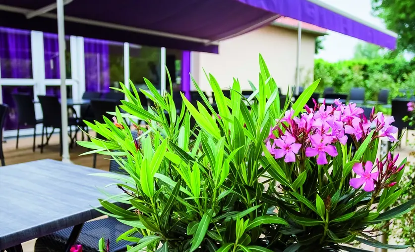 Bress'Saône - Replonges (Ain)