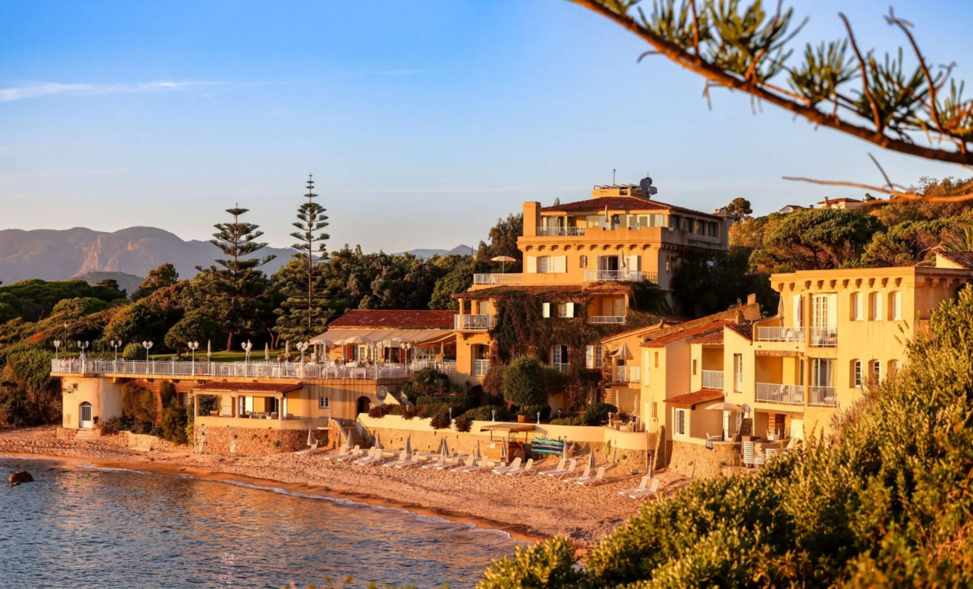 Le Maquis - Porticcio (null)