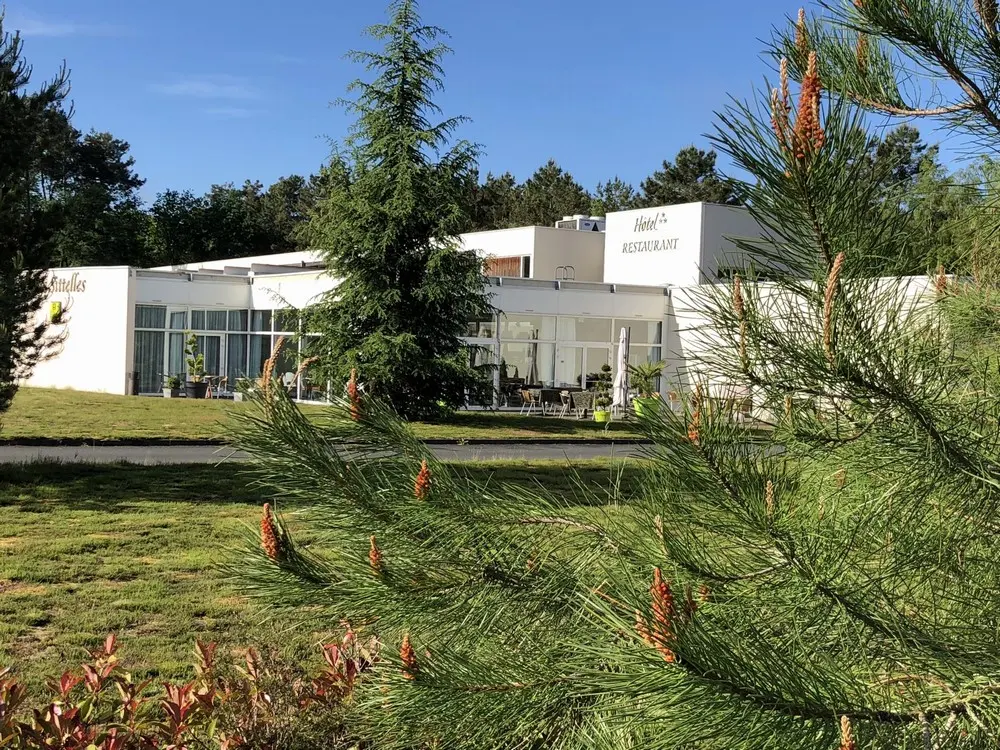 Les Sittelles - Montfort-Le-Gesnois (Sarthe)