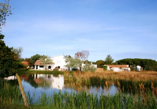Hôtel les Rizières - Saintes-Maries-de-la-Mer (Bouches-du-Rhône)