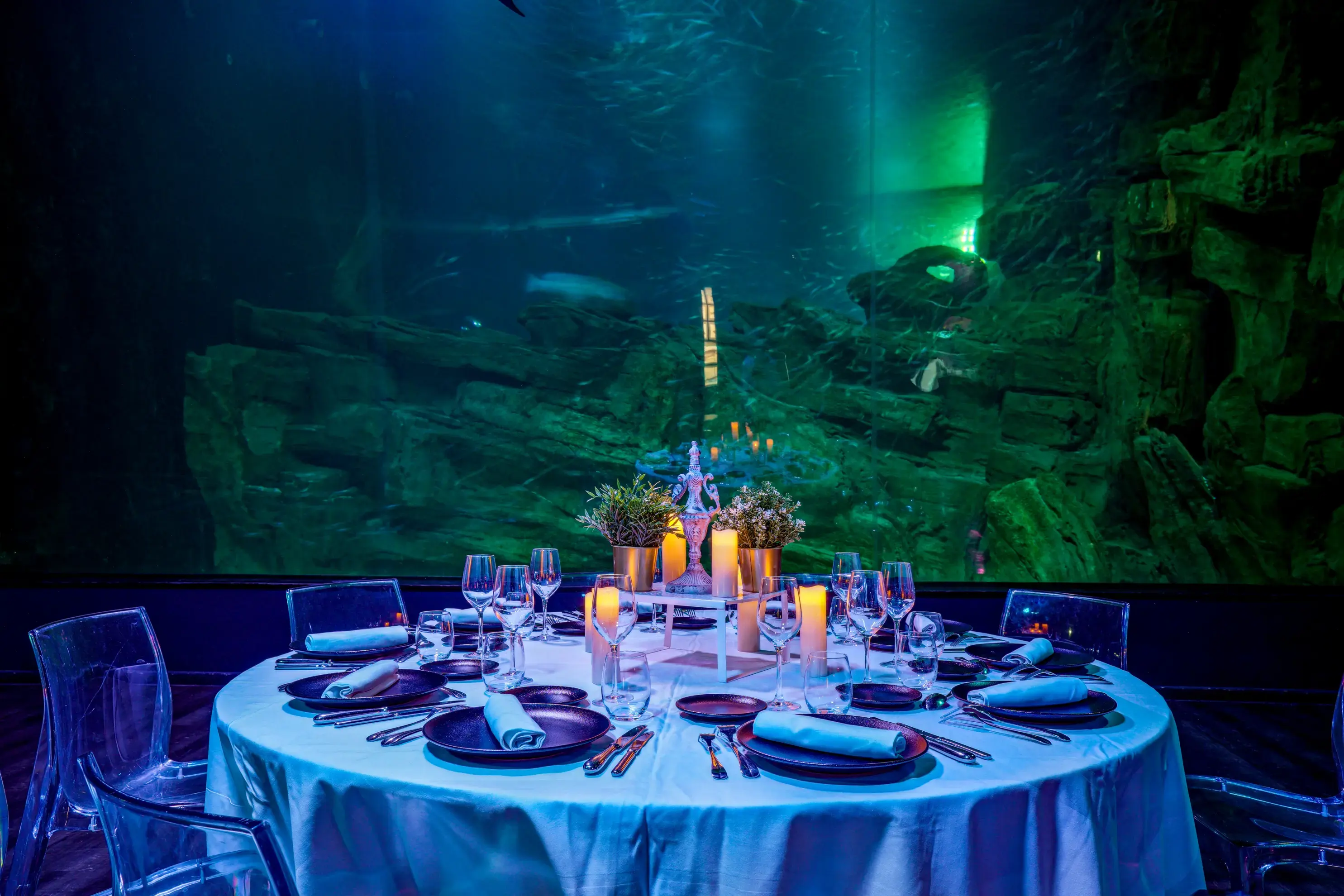 Aquarium de Paris - Paris (Paris)