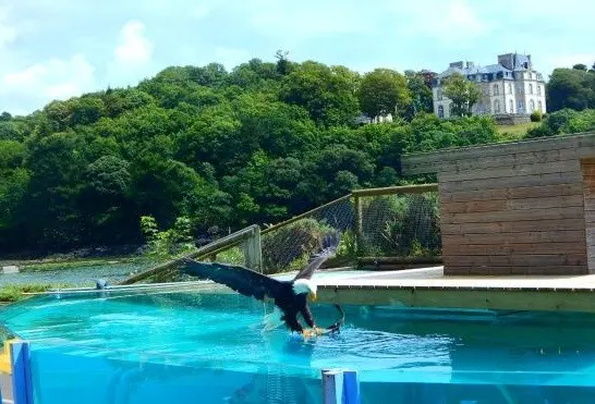 Aquashow - Audierne (Finistère)