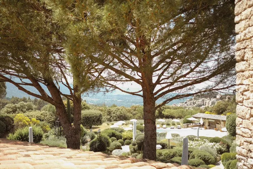 Domaine de Capelongue - Bonnieux (Vaucluse)