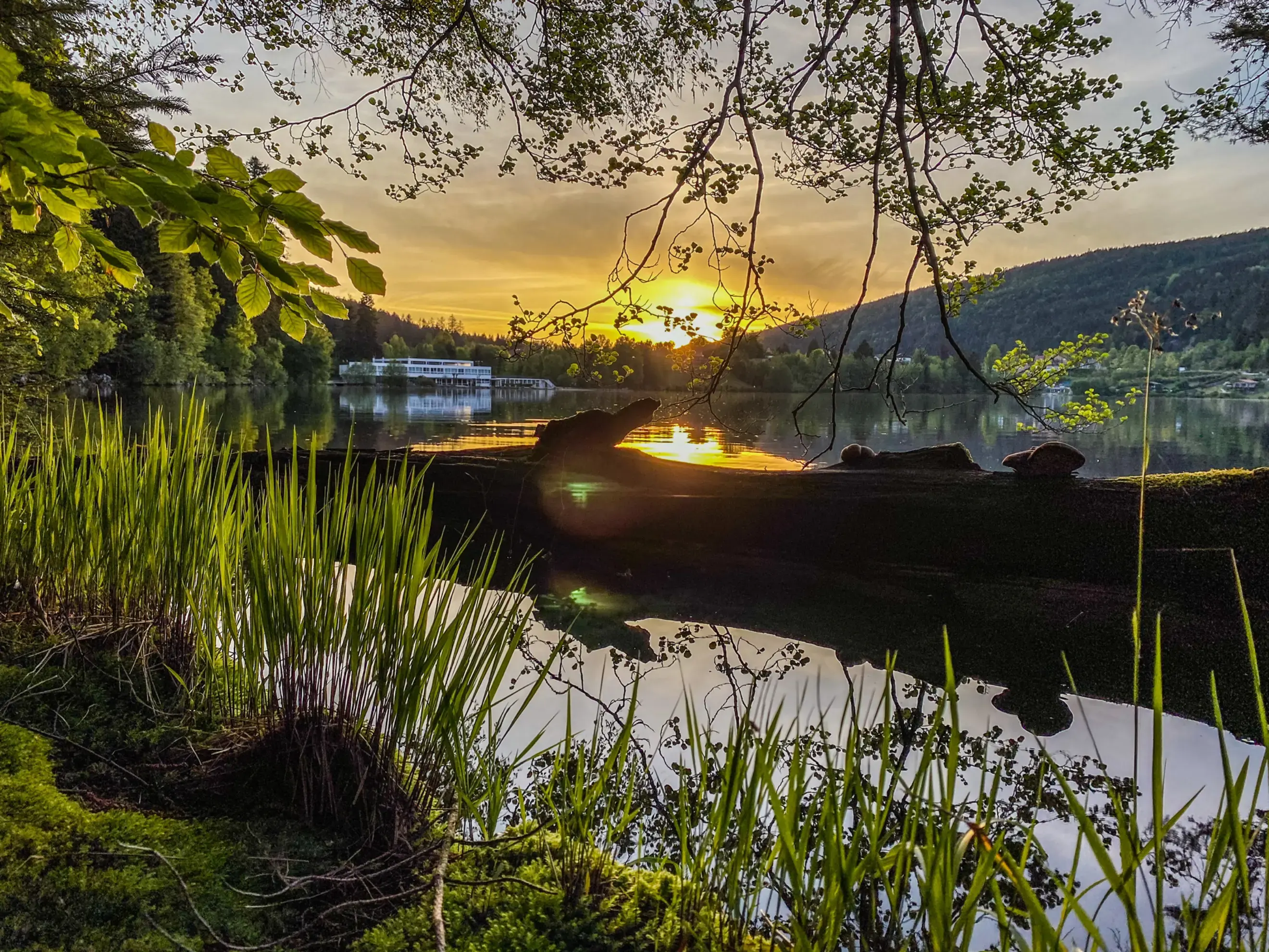 Lido Gérardmer - Gérardmer (Vosges)