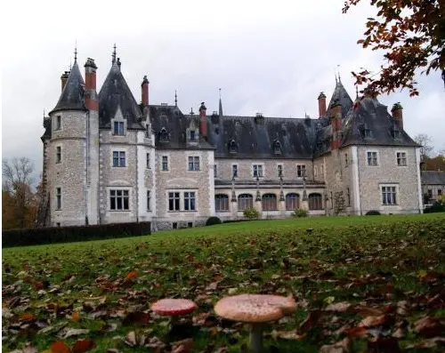 Château de la Verrerie - Oizon (Cher)