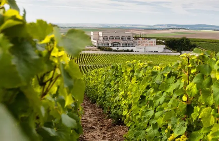 Le Brun de Neuville - Bethon (Marne)