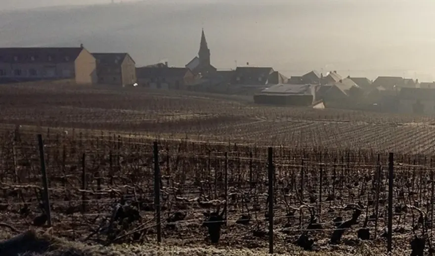 Champagne Julien Chopin - Monthelon (Marne)