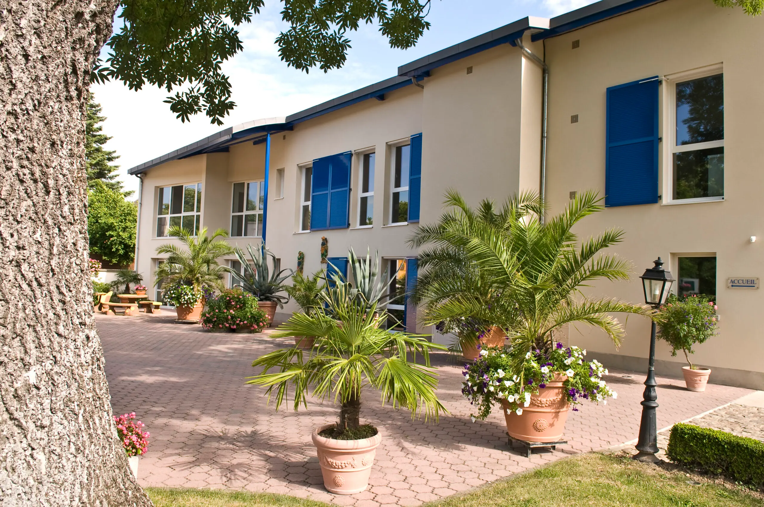 Joly Champagne - Troissy (Marne)