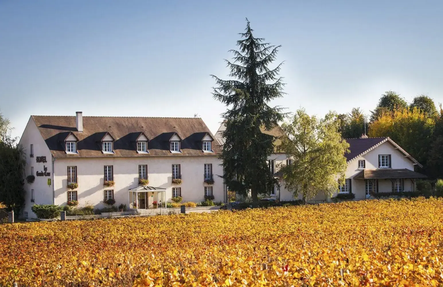 Hôtel les Grands Crus - Gevrey-Chambertin (Côte-d'Or)