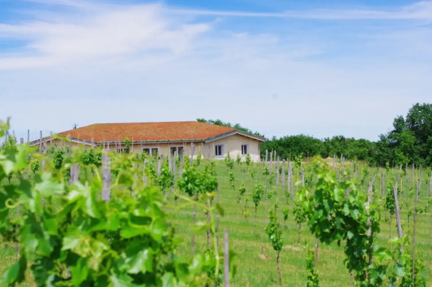 Domaine de Ribonnet - Beaumont-sur-Lèze (Haute-Garonne)