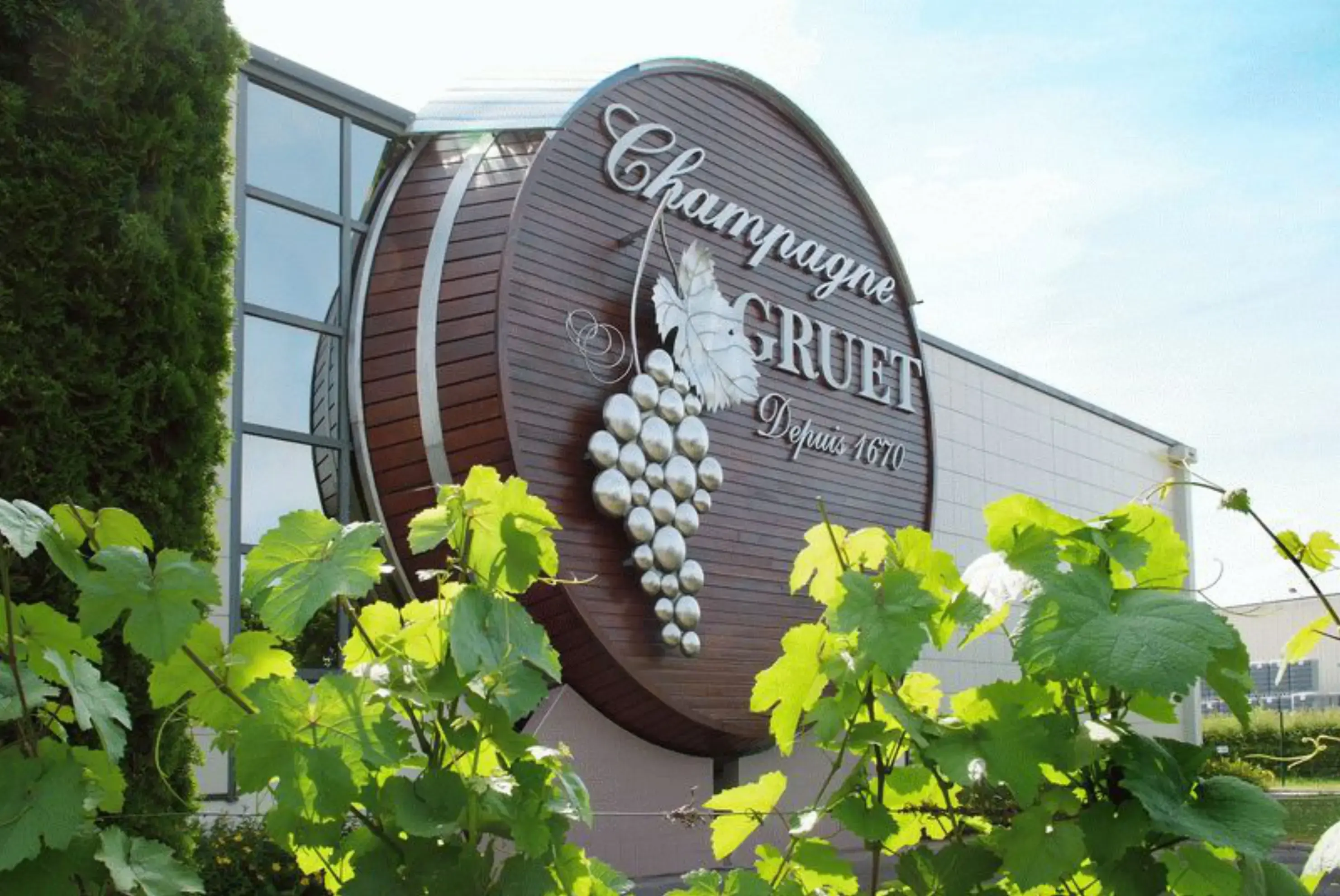 Champagne Gruet - Buxeuil (Aube)