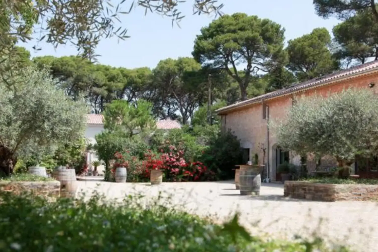 Domaine de la Grangette - Montagnac (Hérault)