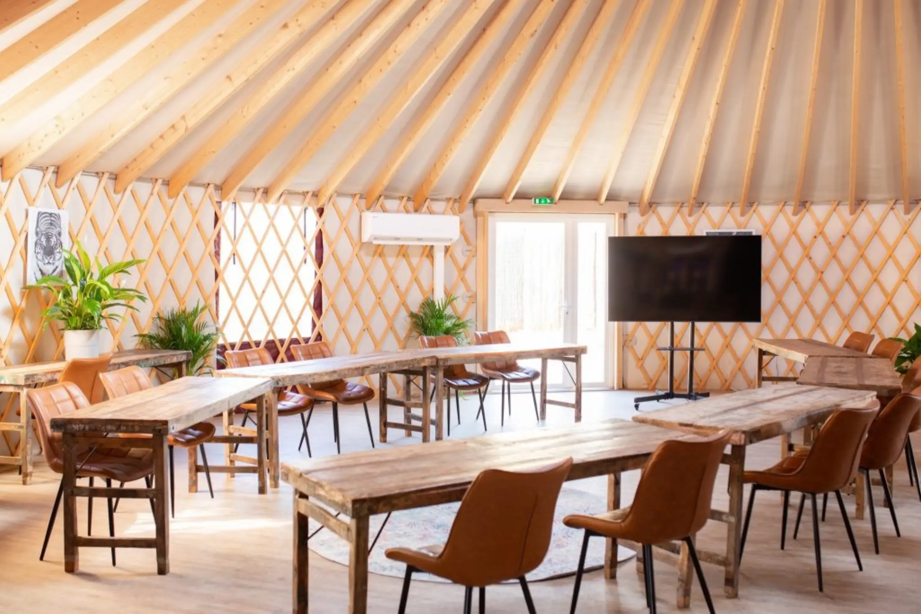 Wow Safari Thoiry - Thoiry (Yvelines)