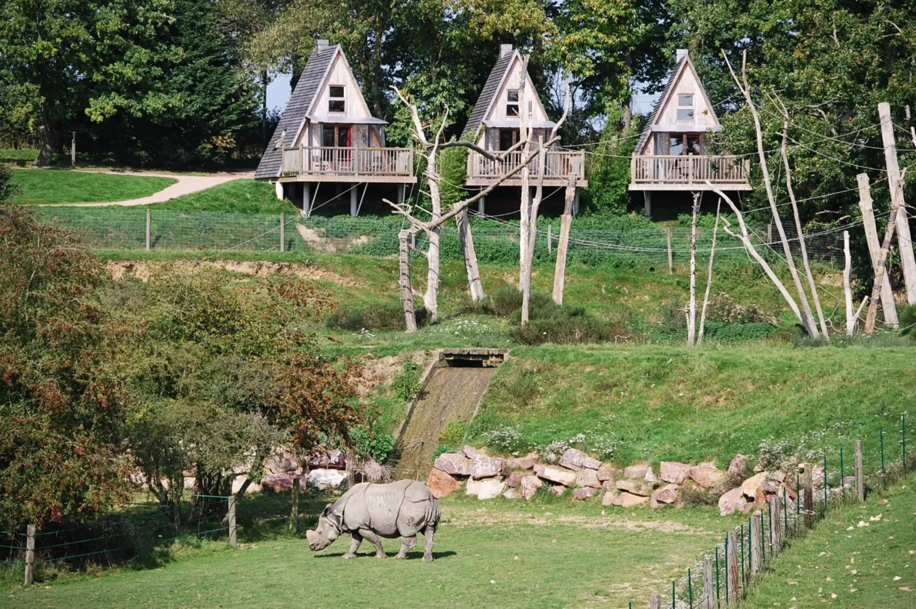 Zoo de Cerza - Hermival-les-Vaux (Calvados)