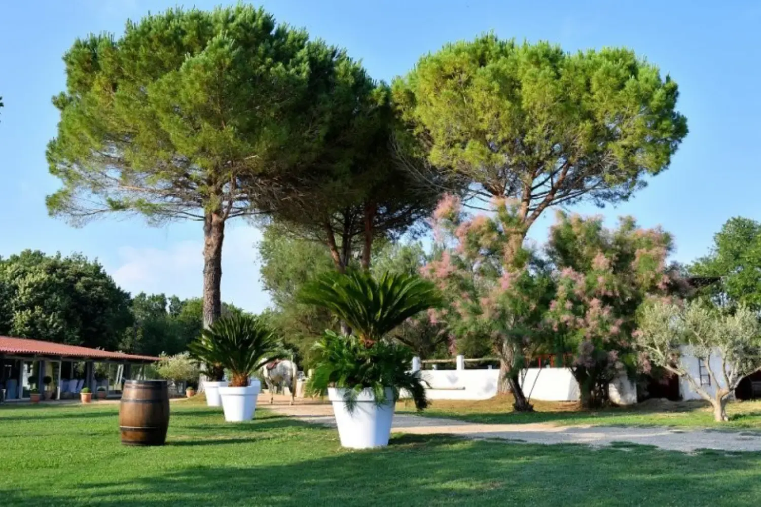 Manade Boch - Lansargues (Hérault)