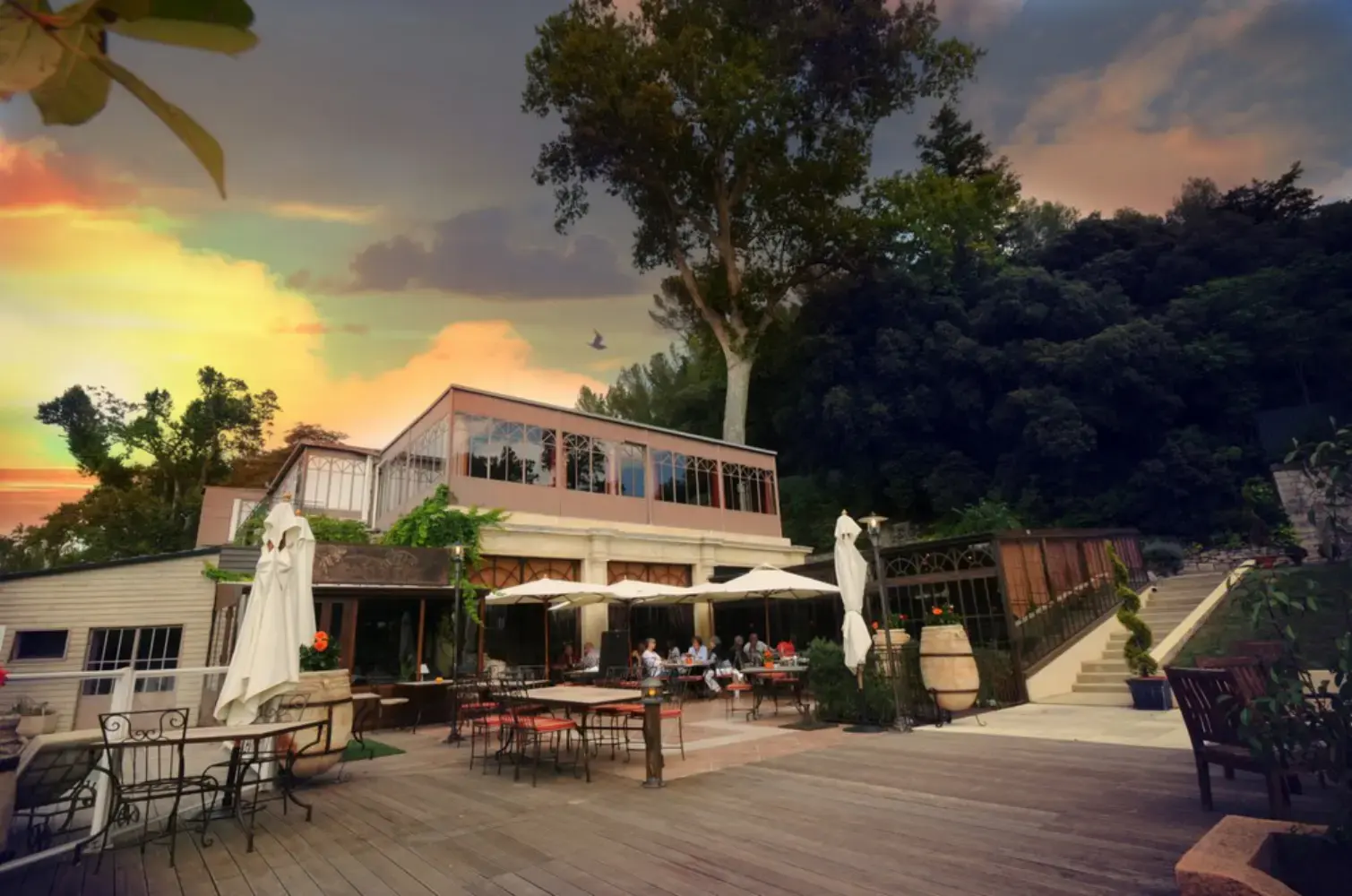 Le Grand Arbre - Montpellier (Hérault)