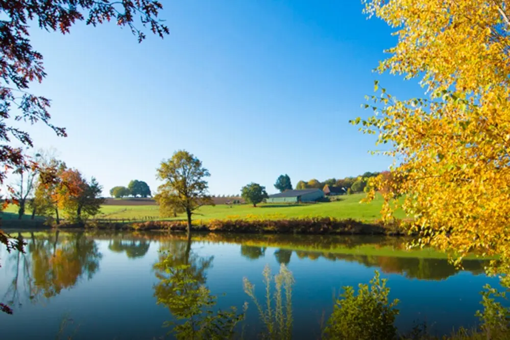 Etoile de Pompadour - Beyssac (Corrèze)