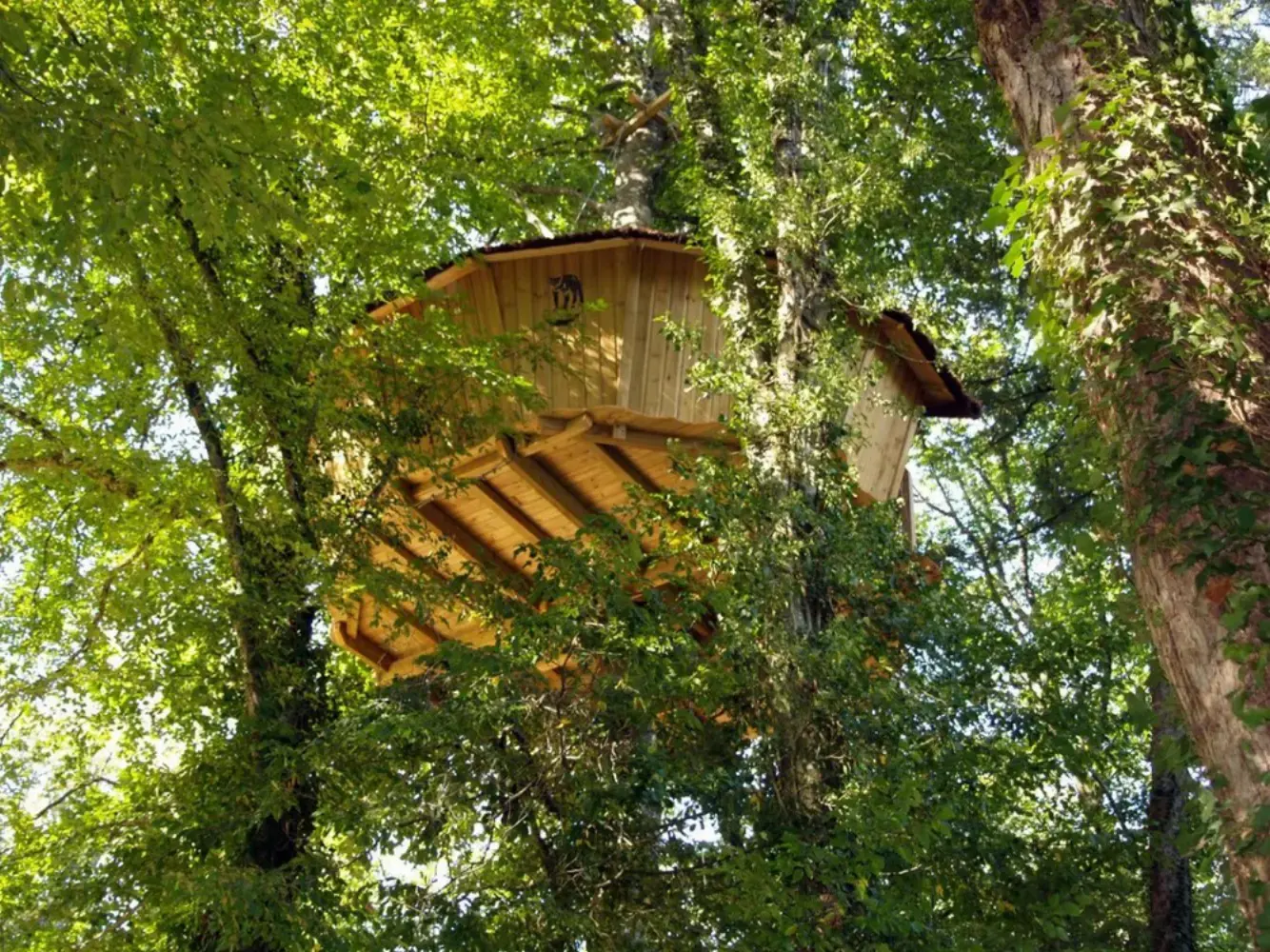 Parc de la Belle - Magné (Vienne)