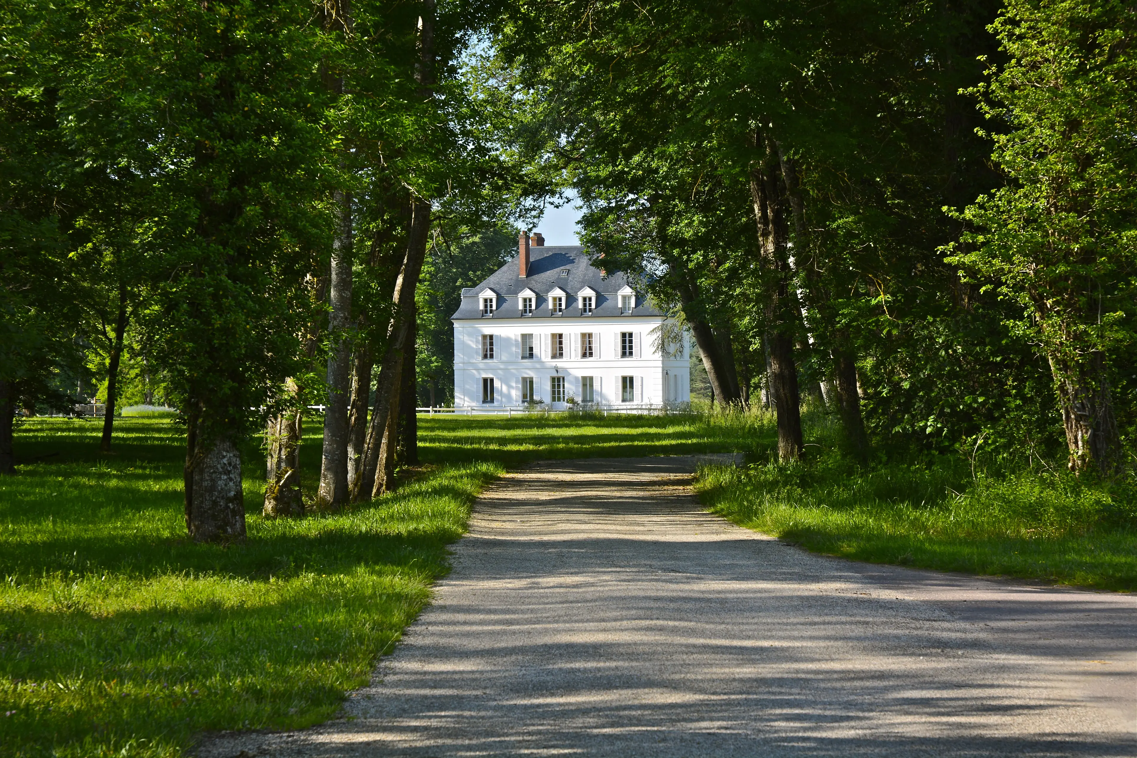Domaine du Roncemay - Chassy (Yonne)