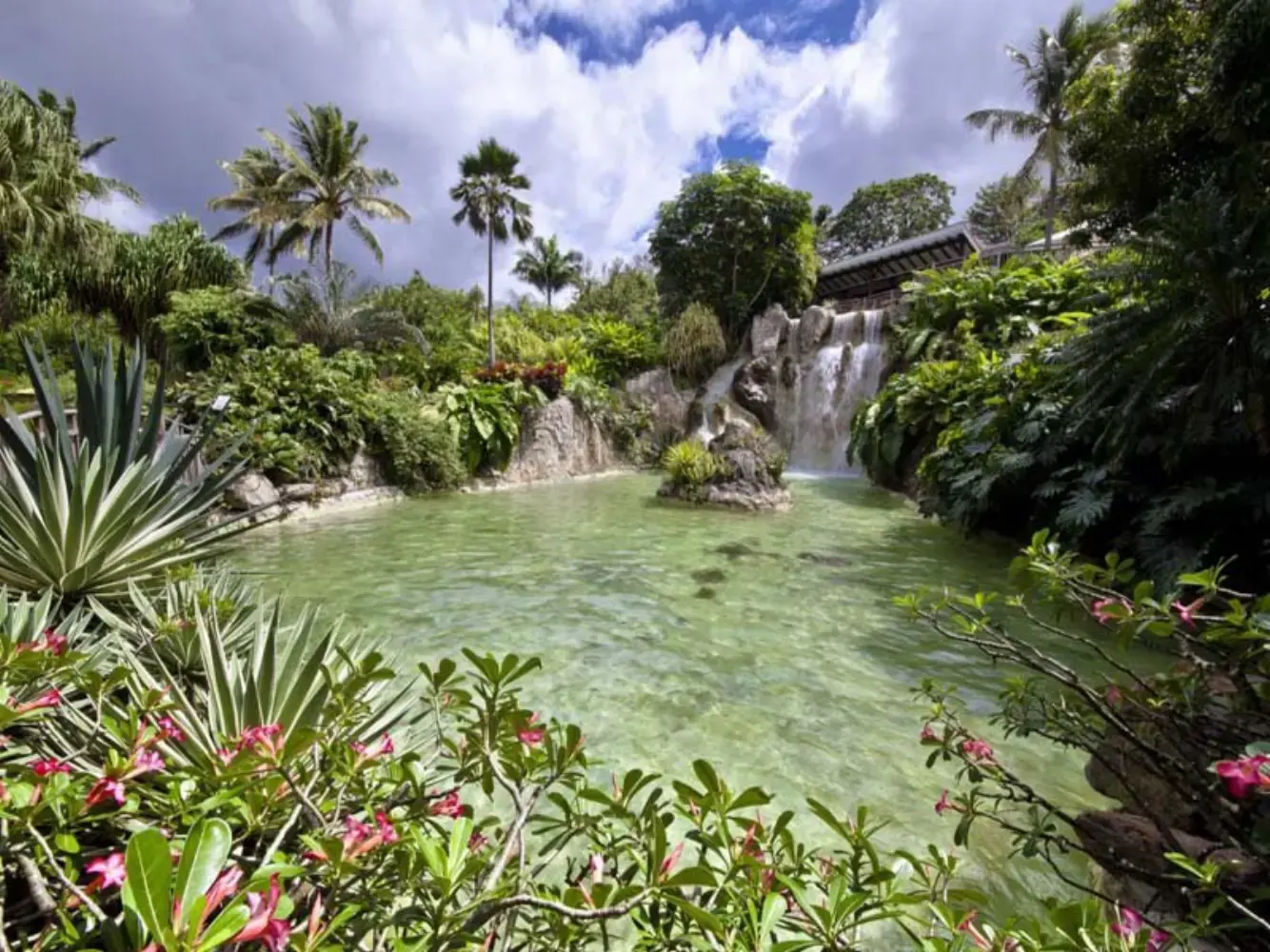 Jardin Botanique de Deshaies - Deshaies (Guadeloupe)