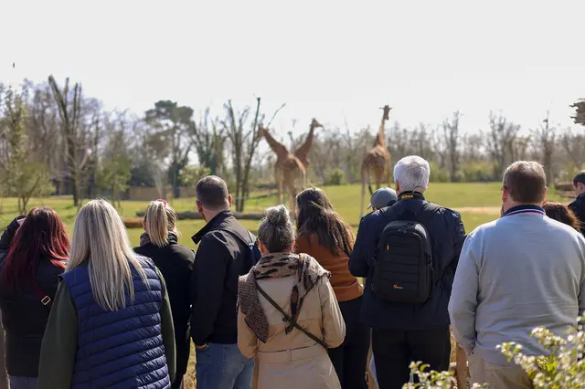 RALLYE AVENTURIER au Zoo de La Flèche - La Flèche (72)
