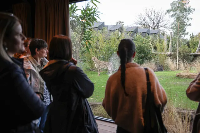 ANIMAL QUIZZ au Zoo de La Flèche - La Flèche (72)