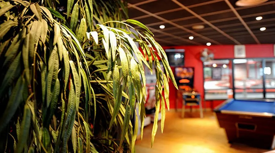 Kart Racer - Saran (Loiret)