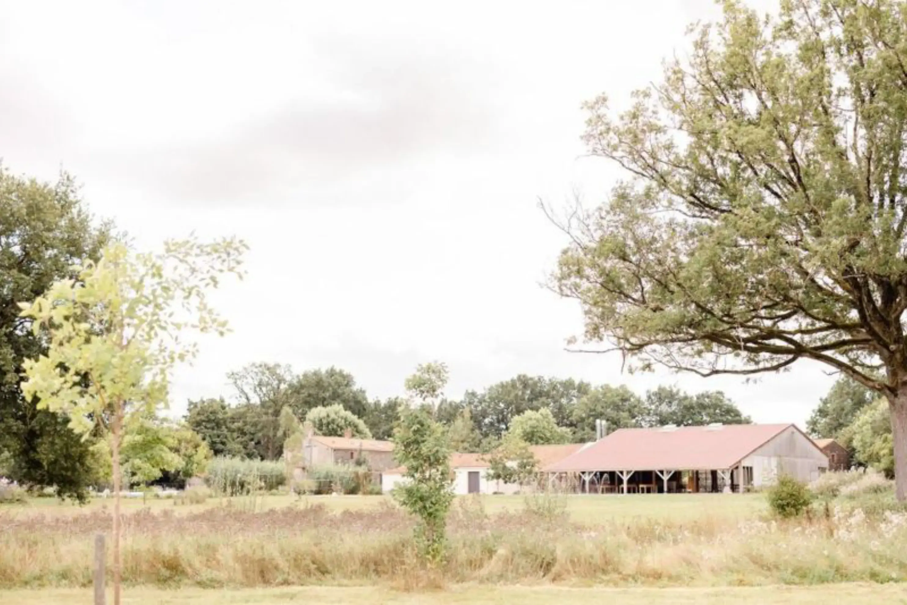 Domaine de l'Oiselière - Chauché (Vendée)