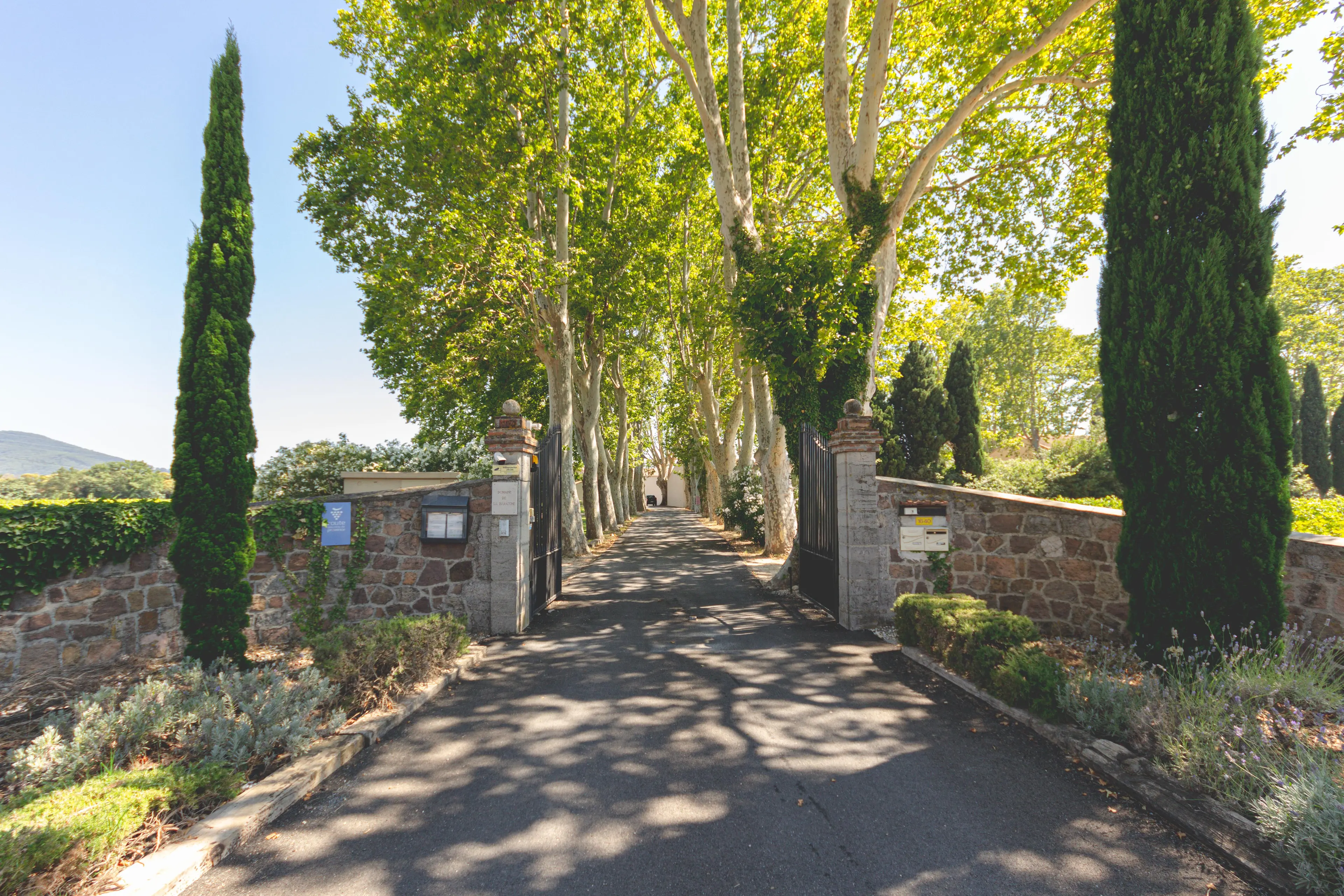 Domaine de la Baratonne - La Garde (Var)