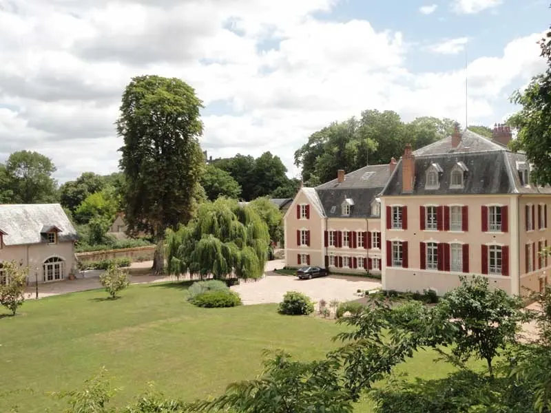 Chateau La Boulaize - Montaigu-le-Blin (Allier)