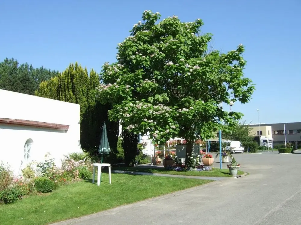 Motel 25 - Socx (Nord)