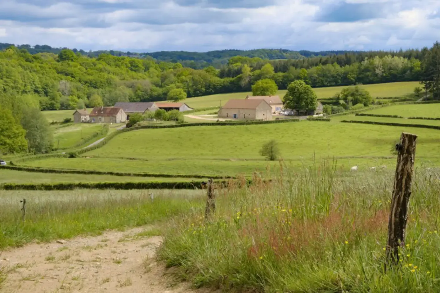 Gîtes du Miel - Saint-Bonnet-de-Vieille-Vigne (Saône-et-Loire)