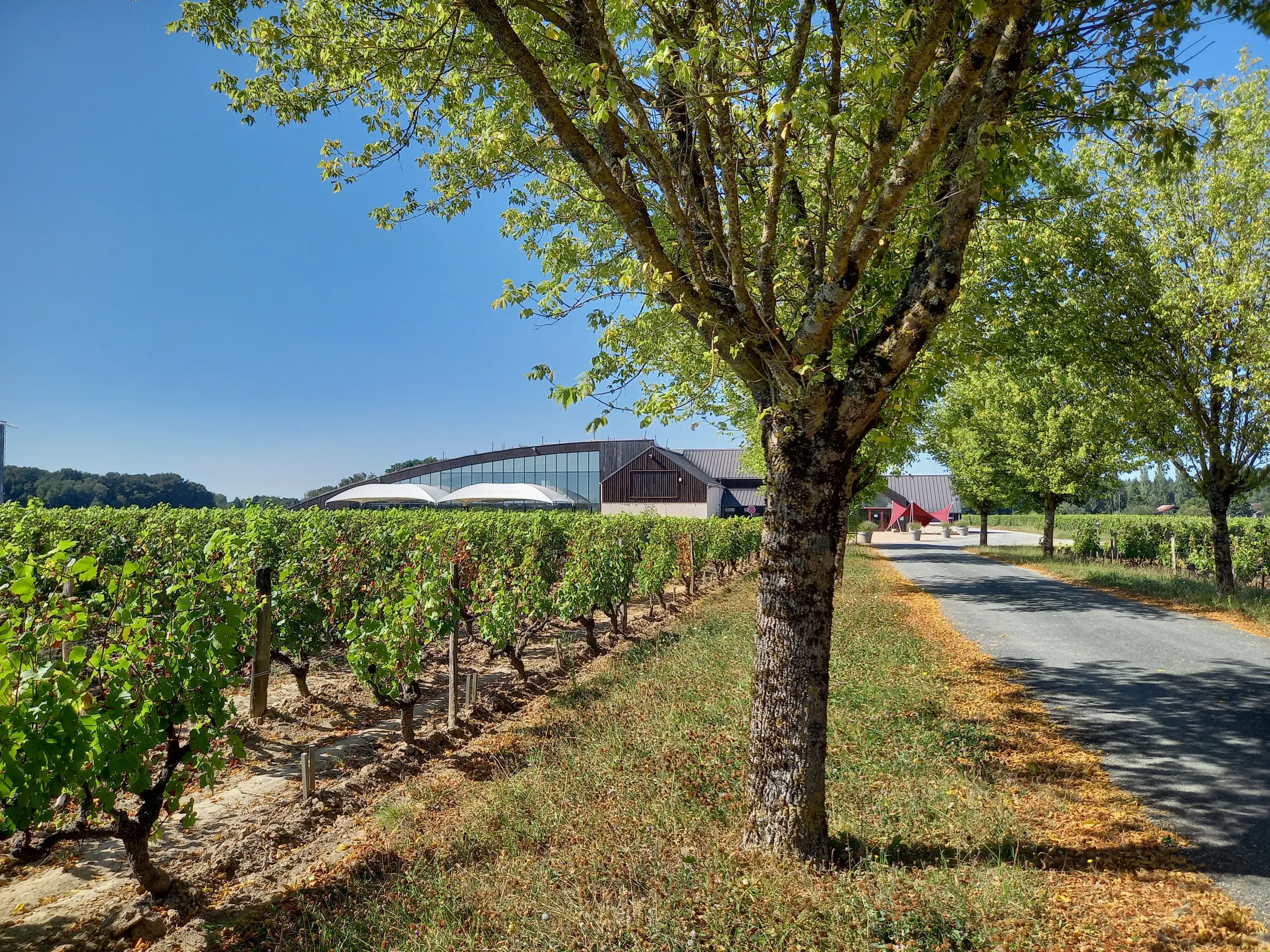 Domaine La Porte Dorée - Cheverny (Loir-et-Cher)