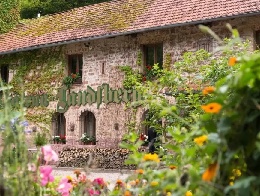 Château Landsberg - Barr (Bas-Rhin)