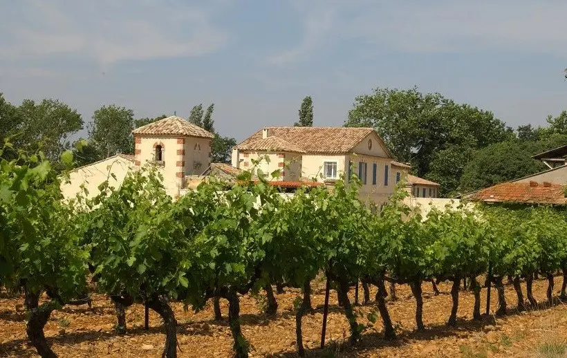 Domaine de Longue Toque - Gigondas (Vaucluse)