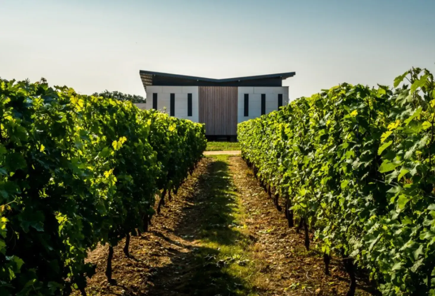 Domaine de Rocheville - Parnay (Maine-et-Loire)