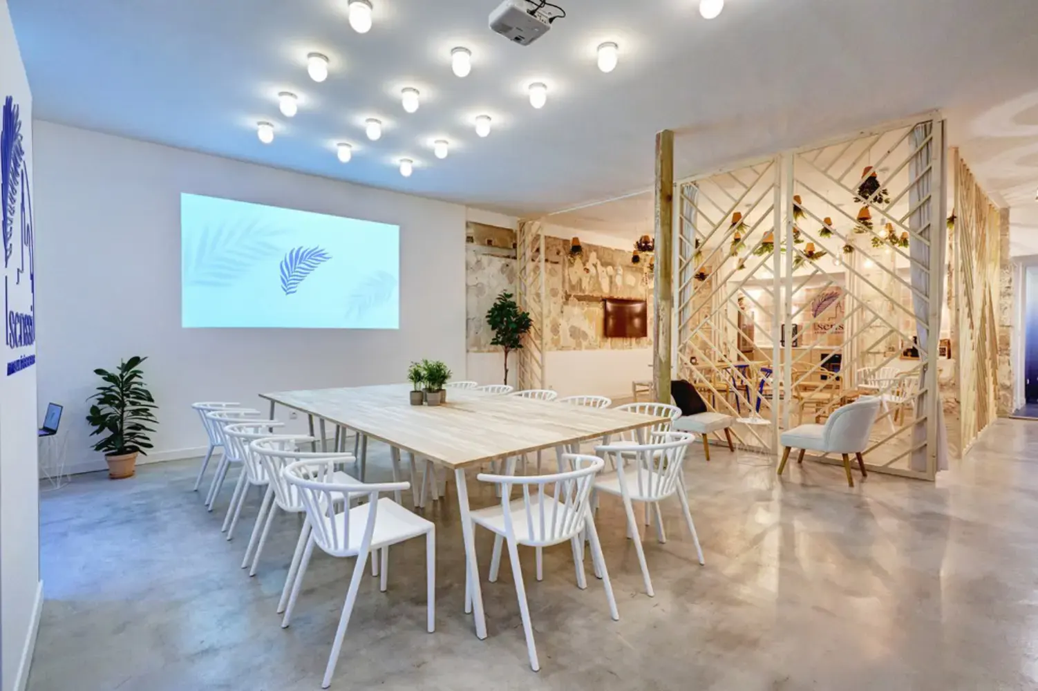 Senssi - Marseille (Bouches-du-Rhône)