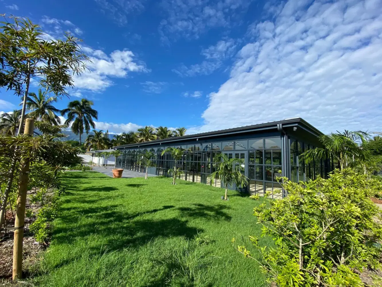 L’Orangerie - Ile de la Réunion - Sainte-Clotilde (null)