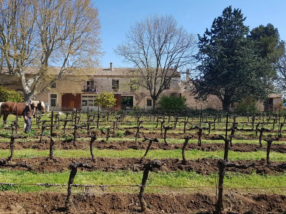 Enclos de la Croix - Lansargues (Hérault)