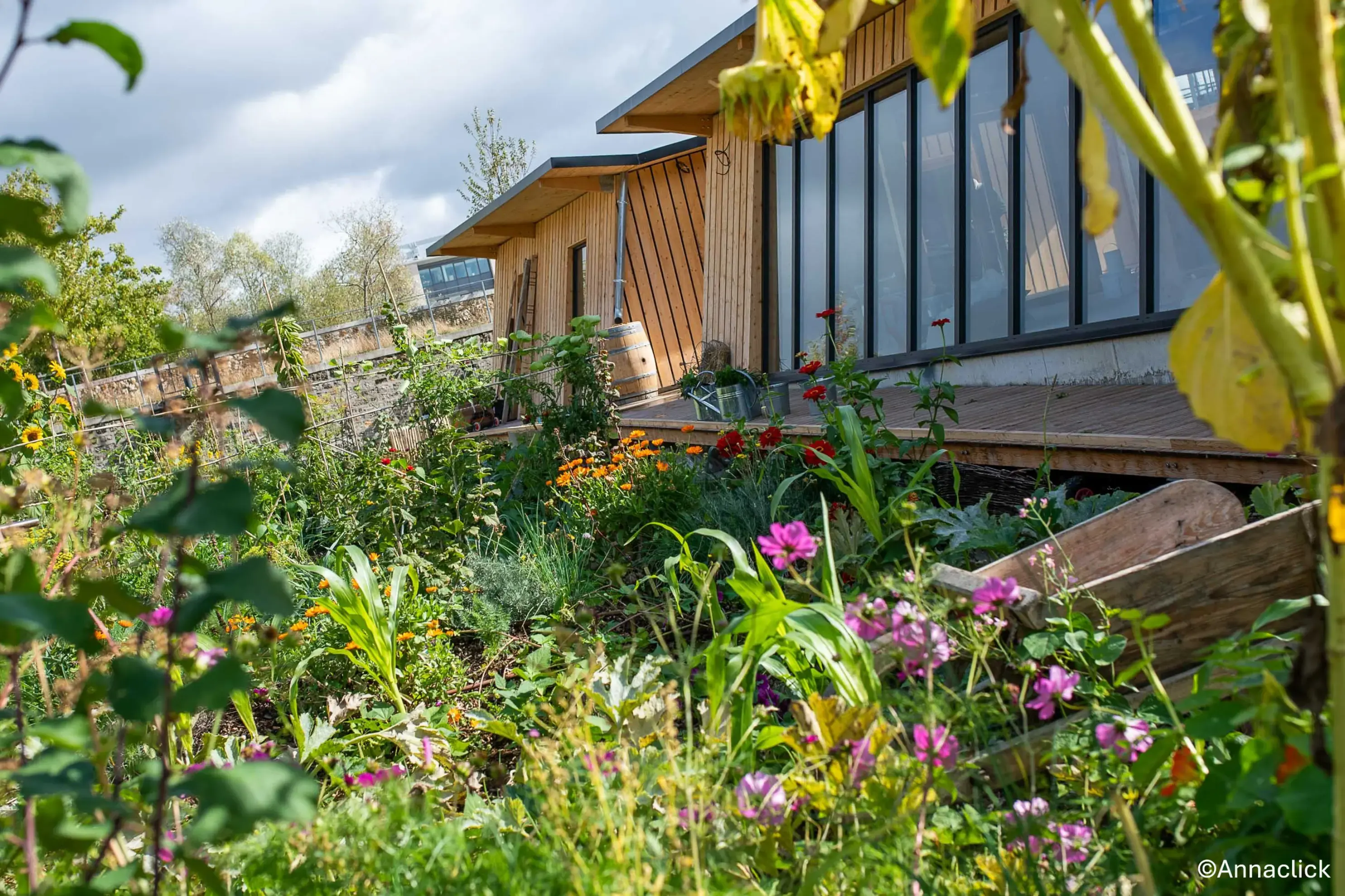 La Ferme Nature et Découvertes - Versailles (Yvelines)