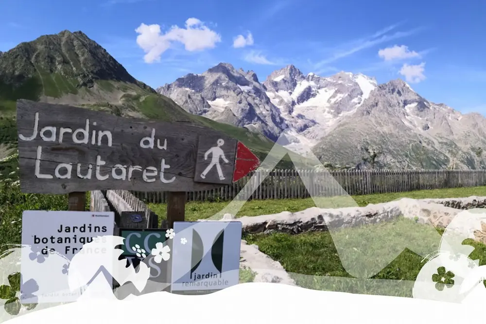 Jardin du Lautaret - Villars d'Arène (Hautes-Alpes)