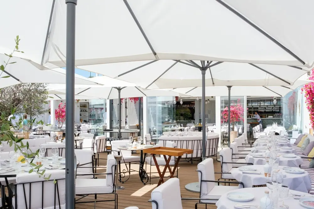 Ambrosia - Beaulieu-sur-Mer (Alpes-Maritimes)