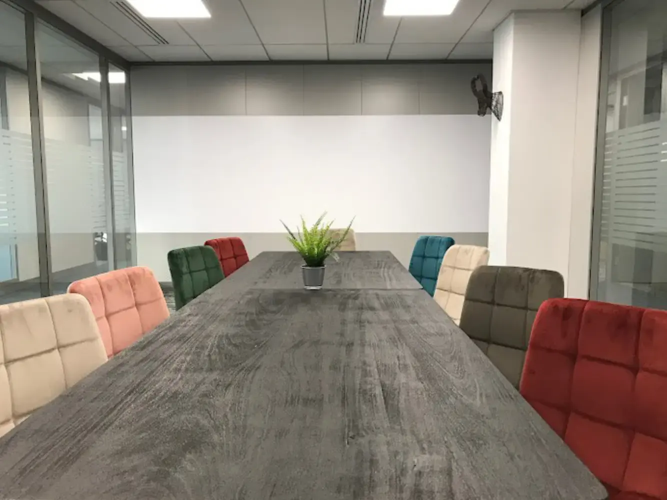 Mitwit Issy-les-Moulineaux - Issy-les-Moulineaux (Hauts-de-Seine)